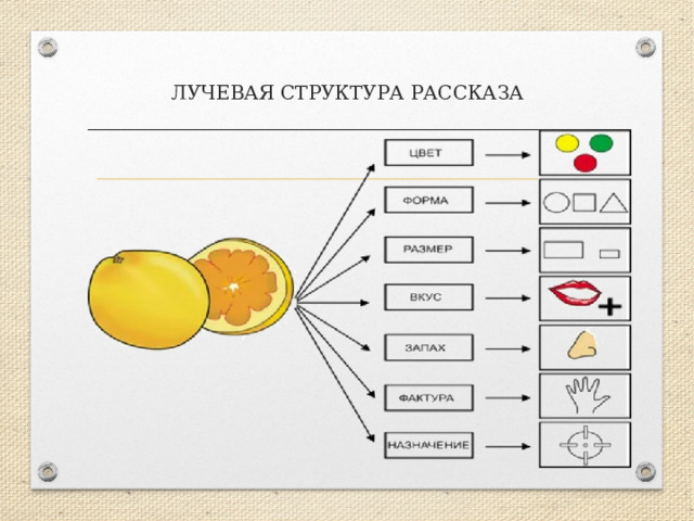 ЛУЧЕВАЯ СТРУКТУРА РАССКАЗА 