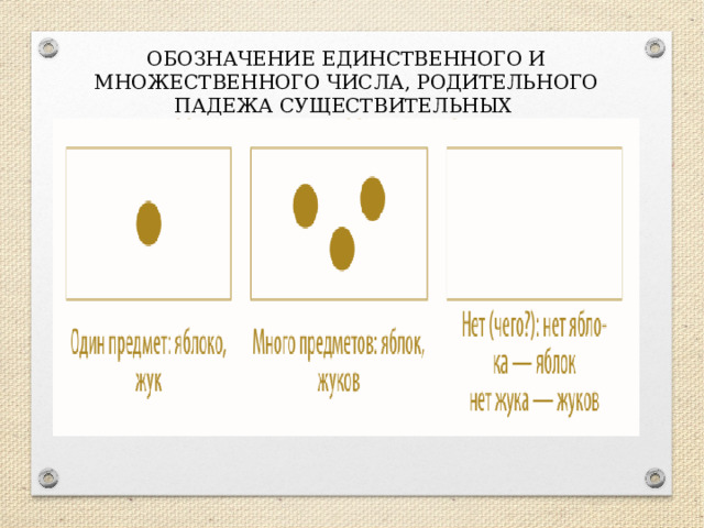 ОБОЗНАЧЕНИЕ ЕДИНСТВЕННОГО И МНОЖЕСТВЕННОГО ЧИСЛА, РОДИТЕЛЬНОГО ПАДЕЖА СУЩЕСТВИТЕЛЬНЫХ 