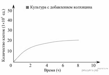 Схема какого процесса происходящего у животных изображена на рисунке ответ поясните назовите зону