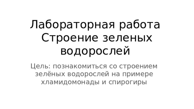 Лабораторная работа строение водорослей