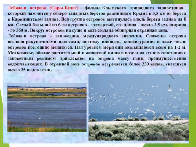Лебяжьи острова в крыму где находится