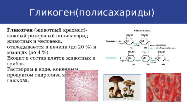 Гликоген(полисахариды) Гликоген (животный крахмал)- важный резервный полисахарид животных и человека, откладывается в печени (до 20 %) и мышцах (до 4 %). Входит в состав клеток животных и грибов. Растворим в воде, конечным продуктом гидролиза является глюкоза. 9 