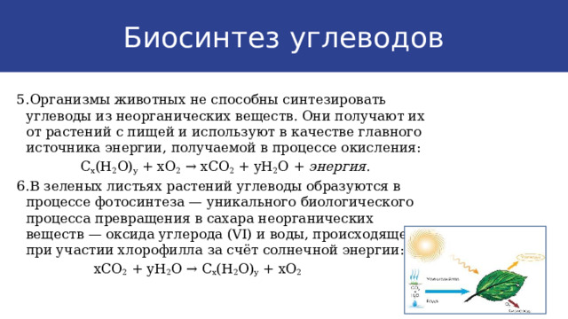 Биосинтез углеводов 5.Организмы животных не способны синтезировать углеводы из неорганических веществ. Они получают их от растений с пищей и используют в качестве главного источника энергии, получаемой в процессе окисления:  C x (H 2 O) y + xO 2 → xCO 2 + yH 2 O + энергия . 6.В зеленых листьях растений углеводы образуются в процессе фотосинтеза — уникального биологического процесса превращения в сахара неорганических веществ — оксида углерода (VI) и воды, происходящего при участии хлорофилла за счёт солнечной энергии:  xCO 2 + yH 2 O → C x (H 2 O) y + xO 2 9 