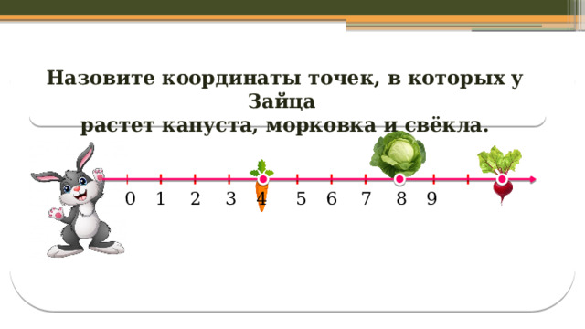 Назовите координаты точек, в которых у Зайца растет капуста, морковка и свёкла.  
