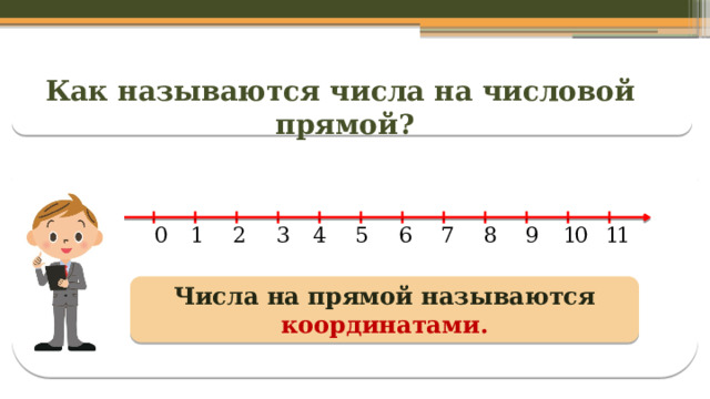 Как называются числа на числовой прямой? Числа на прямой называются координатами.  