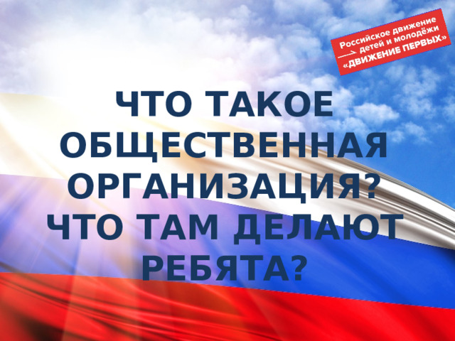 ЧТО ТАКОЕ ОБЩЕСТВЕННАЯ ОРГАНИЗАЦИЯ?  ЧТО ТАМ ДЕЛАЮТ РЕБЯТА? 