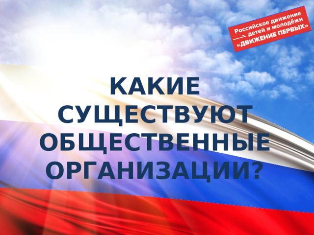 КАКИЕ СУЩЕСТВУЮТ ОБЩЕСТВЕННЫЕ ОРГАНИЗАЦИИ? 