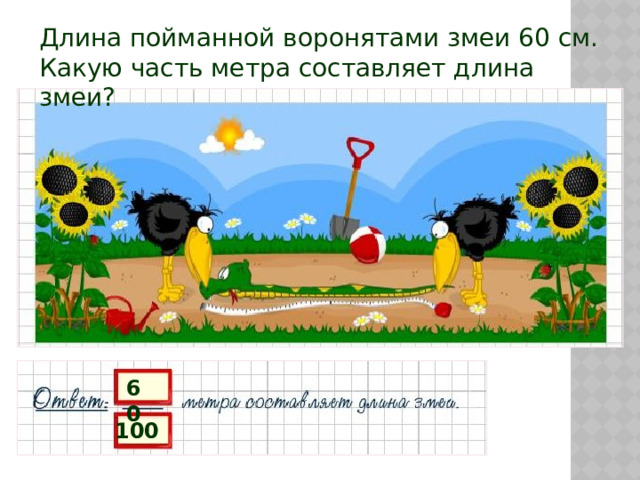 Длина пойманной воронятами змеи 60 см.  Какую часть метра составляет длина змеи? 60 100 
