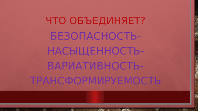 Что объединяет? Безопасность- насыщенность-вариативность-трансформируемость 