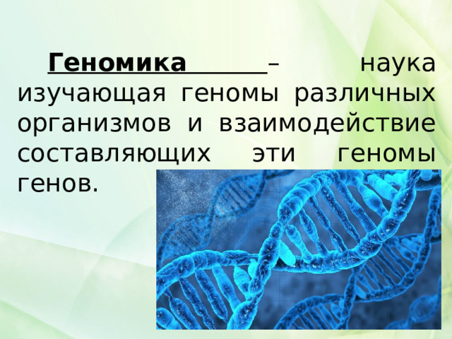 Геномика – наука изучающая геномы различных организмов и взаимодействие составляющих эти геномы генов. 
