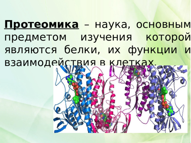 Протеомика – наука, основным предметом изучения которой являются белки, их функции и взаимодействия в клетках. 