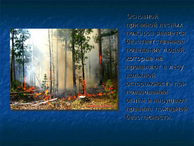  Основной причиной лесных пожаров является безответственное поведение людей, которые не проявляют в лесу должной осторожности при пользовании огнём и нарушают правила пожарной безопасности. 