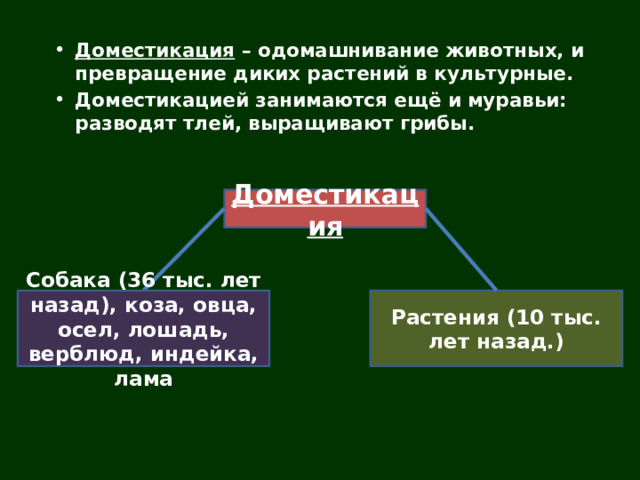 Селекция 10 класс профильный уровень. Селекция презентация. Методы селекции одомашнивание. Доместикация растений. Методы доместикации.