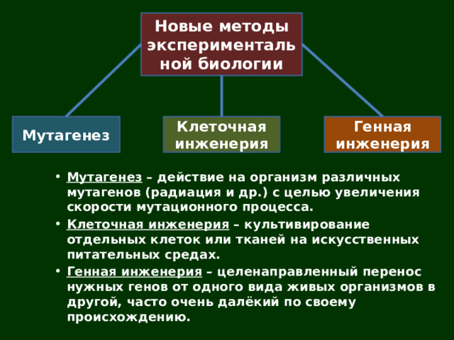 Селекция 10 класс профильный уровень. Селекция биология 10 класс. Клеточная инженерия. Клеточная инженерия в селекции. Генная и клеточная инженерия цель данного направления.