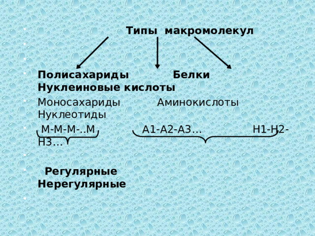  Типы макромолекул     Полисахариды Белки Нуклеиновые кислоты Моносахариды Аминокислоты Нуклеотиды  М-М-М-..М А1-А2-А3… Н1-Н2-Н3…    Регулярные  Нерегулярные   