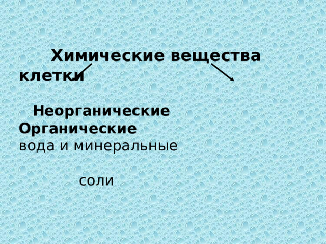  Химические вещества клетки  Неорганические Органические вода и минеральные  соли 