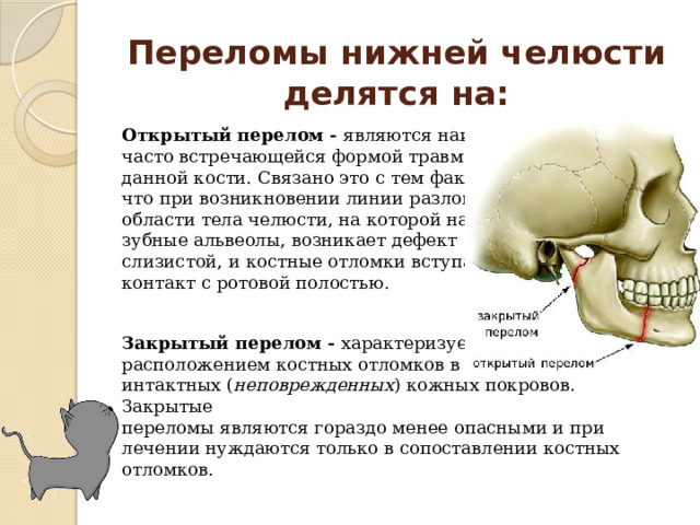 Переломы нижней челюсти делятся на: Открытый перелом - являются наиболее часто встречающейся формой травматизма данной кости. Связано это с тем фактом, что при возникновении линии разлома в области тела челюсти, на которой находятся зубные альвеолы, возникает дефект слизистой, и костные отломки вступают в контакт с ротовой полостью. Закрытый перелом - характеризуется расположением костных отломков в пределах интактных ( неповрежденных ) кожных покровов. Закрытые переломы являются гораздо менее опасными и при лечении нуждаются только в сопоставлении костных отломков. 