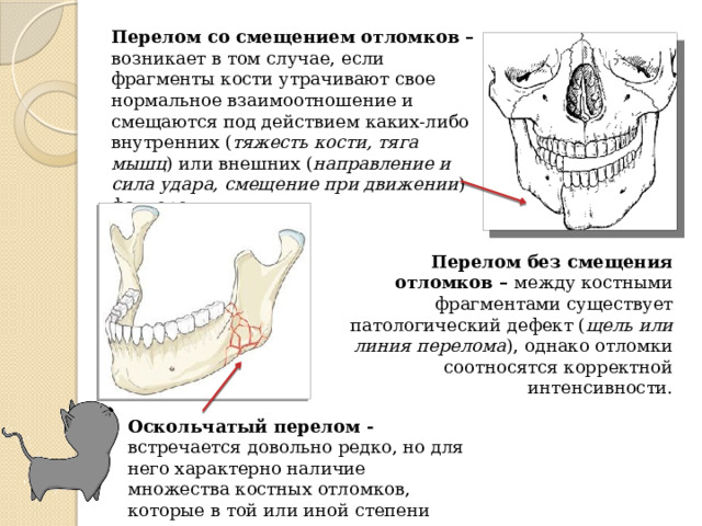 Перелом со смещением отломков – возникает в том случае, если фрагменты кости утрачивают свое нормальное взаимоотношение и смещаются под действием каких-либо внутренних ( тяжесть кости, тяга мышц ) или внешних ( направление и сила удара, смещение при движении ) факторов. Перелом без смещения отломков – между костными фрагментами существует патологический дефект ( щель или линия перелома ), однако отломки соотносятся корректной интенсивности. Оскольчатый перелом - встречается  довольно редко, но для него характерно наличие множества костных отломков, которые в той или иной степени смещены. 