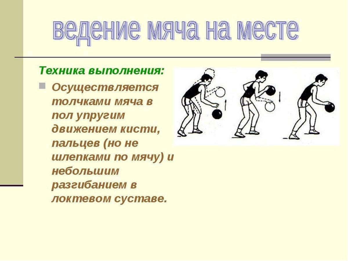 Техника ведения баскетбольного мяча на месте