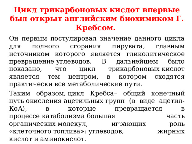  Цикл трикарбоновых кислот впервые был открыт английским биохимиком Г. Кребсом.     Он первым постулировал значение данного цикла для полного сгорания пирувата, главным источником которого является гликолитическое превращение углеводов. В дальнейшем было показано, что цикл трикарбоновых кислот является тем центром, в котором сходятся практически все метаболические пути.   Таким образом, цикл Кребса– общий конечный путь окисления ацетильных групп (в виде ацетил-КоА), в которые превращается в процессе катаболизма большая часть органических молекул, играющих роль «клеточного топлива»: углеводов, жирных кислот и аминокислот. 