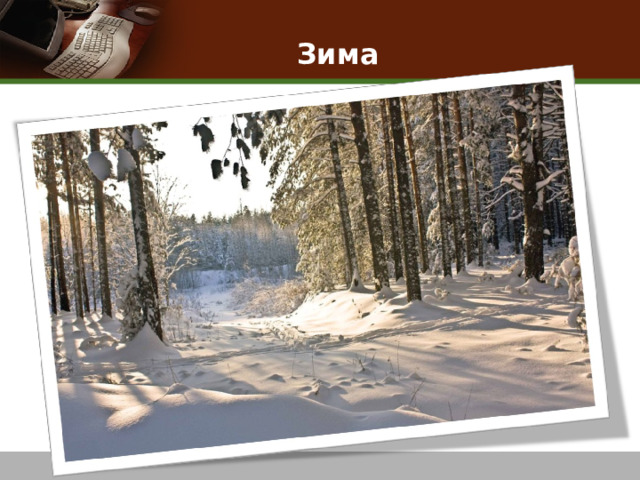 Зима   