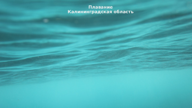 Плавание  Калининградская область  