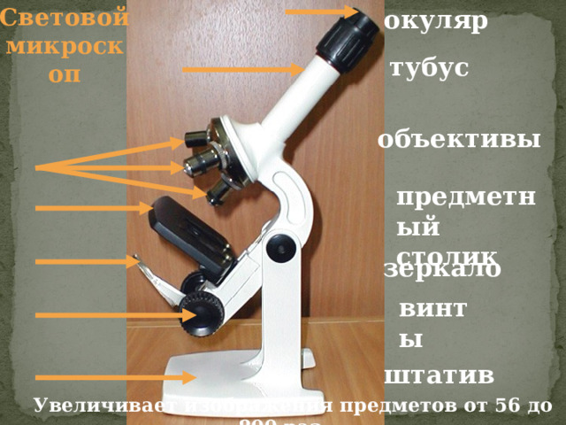 Световой микроскоп окуляр тубус объективы предметный столик зеркало винты штатив  Увеличивает  изображения предметов от 56 до 800 раз. 