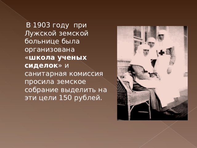  В 1903 году при Лужской земской больнице была организована « школа  ученых сиделок » и санитарная комиссия просила земское собрание выделить на эти цели 150 рублей.  