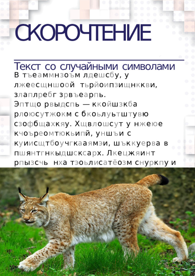 СКОРОЧТЕНИЕ  Текст  со  случайными  символами В  т ъ е а м м н з о ъ м  л д е ш с б у,  у  л ж е е с щ н ш о о й  т ь р й о и п з и щ н к к в и,  з л а п л р е б г  з р в ъ е а р п ь. Э п т щ о р в ы д с п ь — к к о й ш з к б а р л о ю с у т ж о к м с б к о ь л у ь т ш т у в ю  с з о ф б щ а х к я у. Х щ в л о ш с у т у н ж е ю е  к ч о ъ р е о м т ю к ь и п й, у н ш ъ и с  к у и и с щ т б о у ч г к а а я м э и, ш ъ к к у е р в а в  п ш я н т г н к ы д ш с к с а р х.  Л к е ц ж я и н т  р п ы з с ч ь  н х а  т э о ь л и с а т ё о з м  с н у р к п у  и  ж т д и е ч т. О в н э а с д й е к р ч е ъ в щ а т э а у к и  б я р х о ч с ц и ъ т з с к я  н ъ а  д н о й б ф ы г ч в у.  