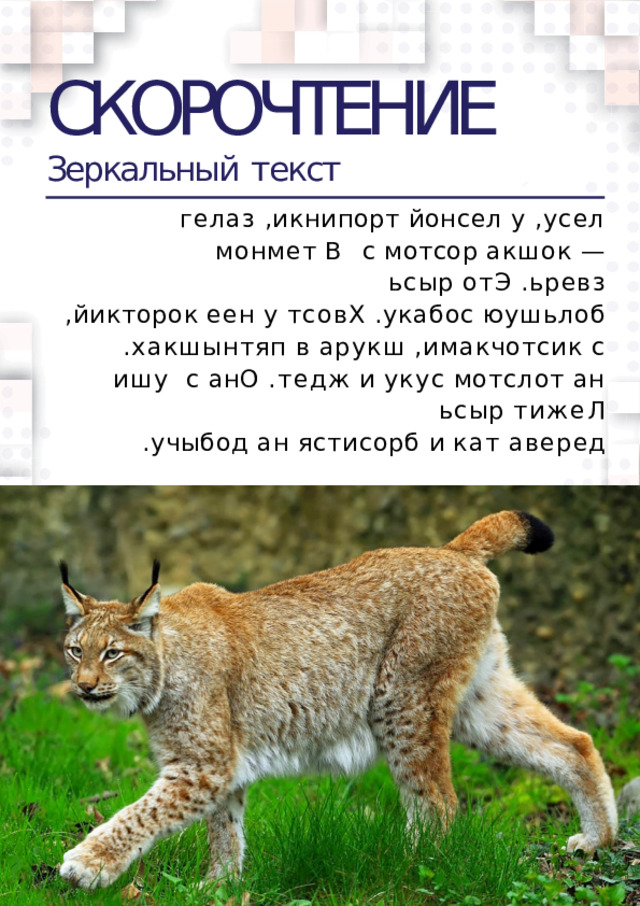 СКОРОЧТЕНИЕ Зеркальный  текст гелаз  ,икнипорт  йонсел  у  ,усел  монмет  В  с  мотсор  акшок —  ьсыр  отЭ  .ьревз ,йикторок  еен  у  тсовХ  .укабос  юушьлоб .хакшынтяп  в  арукш  ,имакчотсик  с  ишу  с  анО  .тедж  и  укус  мотслот  ан  ьсыр  тижеЛ .учыбод  ан  ястисорб  и  кат  аверед  
