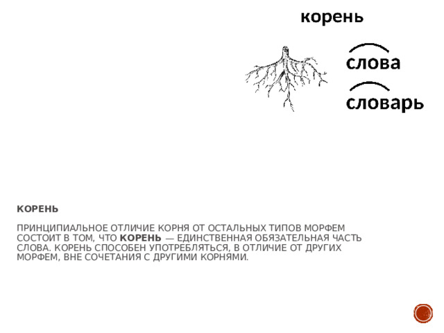 Корень   Принципиальное отличие корня от остальных типов морфем состоит в том, что  корень  — единственная обязательная часть слова. Корень способен употребляться, в отличие от других морфем, вне сочетания с другими корнями.   