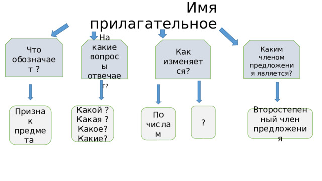 Имя прилагательное Что обозначает ? На какие вопросы отвечает ? Как изменяется? Каким членом предложения является? Какой ? Признак предмета Какая ? Какое? Какие? ? По числам Второстепенный член предложения 