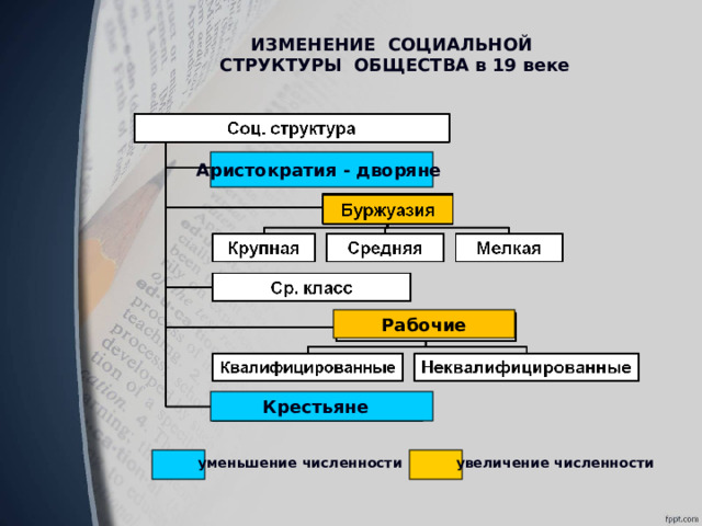 Как менялась структура английского общества кратко