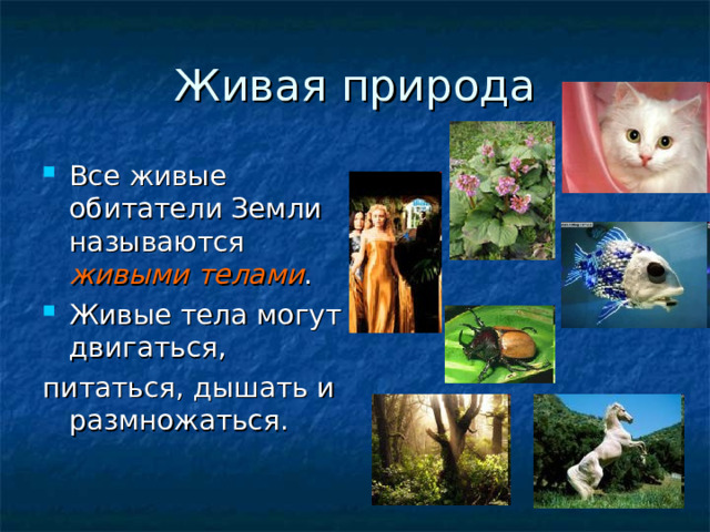 Современный мир живых организмов 7 класс презентация