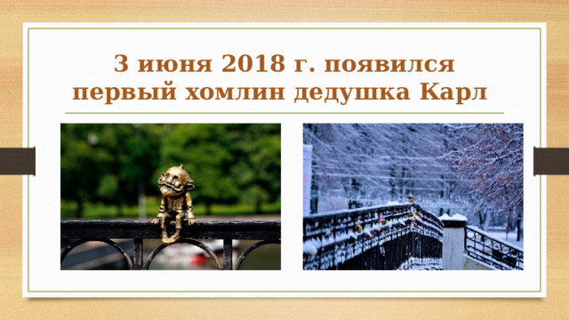3 июня 2018 г. появился первый хомлин дедушка Карл 