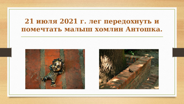 21 июля 2021 г. лег передохнуть и помечтать малыш хомлин Антошка. 