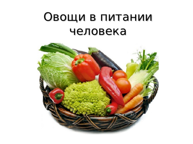Овощи в питании человека 