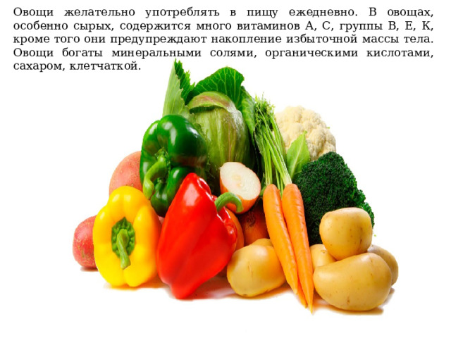 Овощи желательно употреблять в пищу ежедневно. В овощах, особенно сырых, содержится много витаминов А, С, группы В, Е, К, кроме того они предупреждают накопление избыточной массы тела. Овощи богаты минеральными солями, органическими кислотами, сахаром, клетчаткой. 