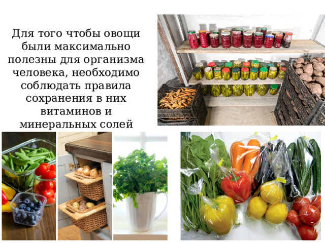 Для того чтобы овощи были максимально полезны для организма человека, необходимо соблюдать правила сохранения в них витаминов и минеральных солей 