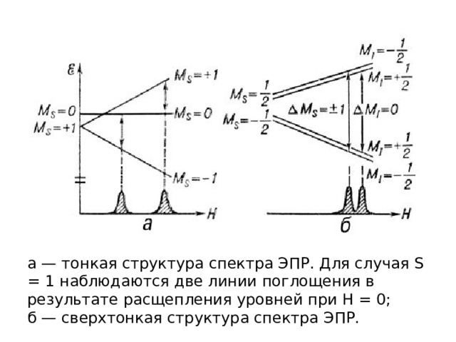 а — тонкая структура спектра ЭПР. Для случая S = 1 наблюдаются две линии поглощения в результате расщепления уровней при Н = 0; б — сверхтонкая структура спектра ЭПР. 
