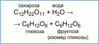 Схема реакции гидролиза сахарозы