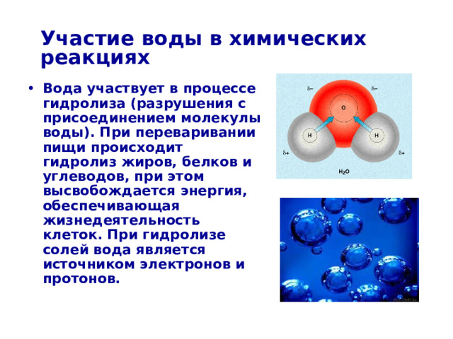 Участие воды в химических реакциях Вода участвует в процессе гидролиза (разрушения с присоединением молекулы воды). При переваривании пищи происходит гидролиз жиров, белков и углеводов, при этом высвобождается энергия, обеспечивающая жизнедеятельность клеток. При гидролизе солей вода является источником электронов и протонов.  