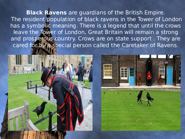     Black Ravens are guardians of the British Empire.  The resident population of black ravens in the Tower of London has a symbolic meaning. There is a legend that until the crows leave the Tower of London, Great Britain will remain a strong and prosperous country. Crows are on state support . They are cared for by a special person called the Caretaker of Ravens.           