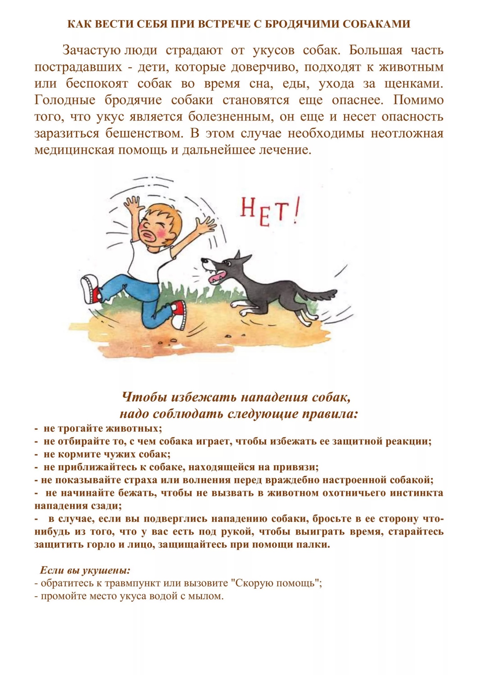 Что делать при нападении собаки. Осторожно бродячие собаки памятка для родителей. Как вести себя при встрече с бродячими собаками. Правила поведения при встрече с бездомными собаками. Памятка при встрече с бродячими собаками.