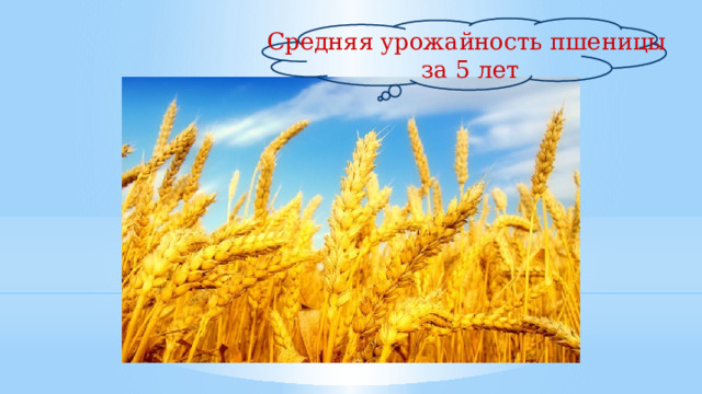 Средняя урожайность пшеницы за 5 лет 