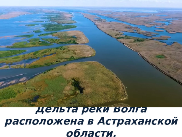 Дельта реки Волга расположена в Астраханской области. 