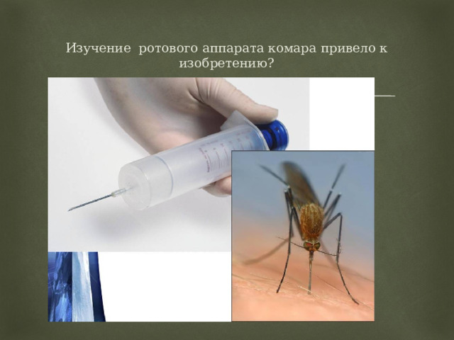 Изучение ротового аппарата комара привело к изобретению? 