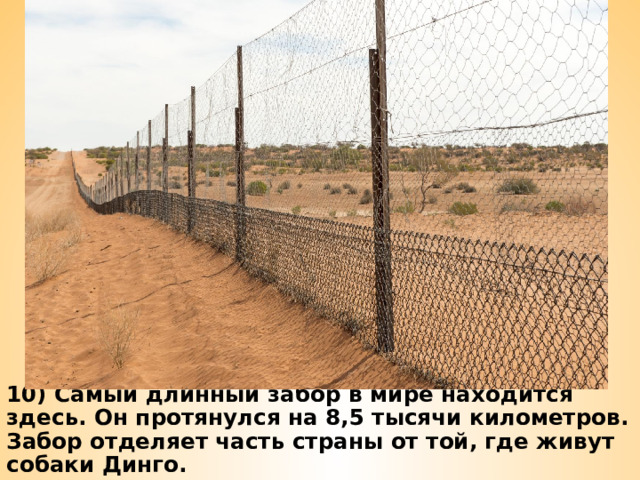 10) Самый длинный забор в мире находится здесь. Он протянулся на 8,5 тысячи километров. Забор отделяет часть страны от той, где живут собаки Динго. 