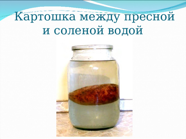 Картошка между пресной и соленой водой   