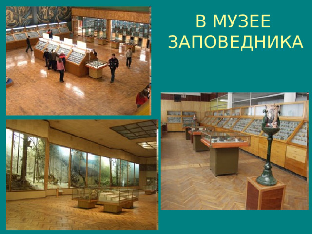 В МУЗЕЕ  ЗАПОВЕДНИКА 